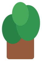 Planta